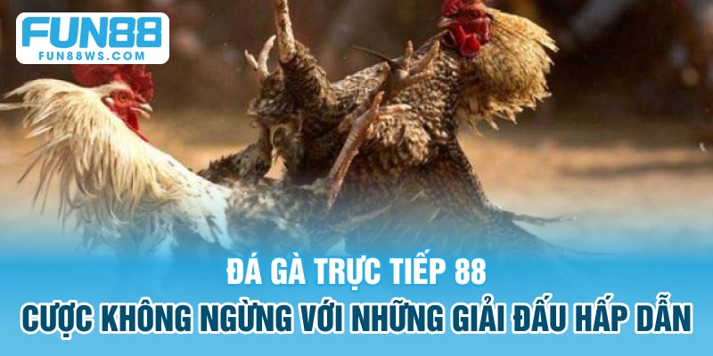 đá gà trực tiếp 88