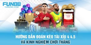 Kèo Tài Xỉu 4 4.5